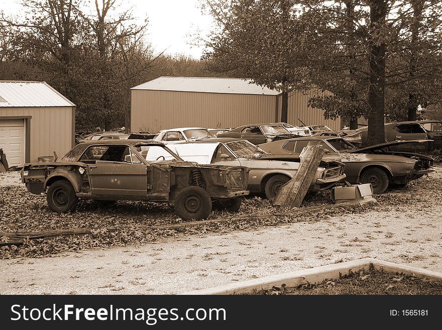 Ford Mustang salvage yard.  1966, 1971 and 1972 in the foreground.  Sepia tone. Ford Mustang salvage yard.  1966, 1971 and 1972 in the foreground.  Sepia tone.