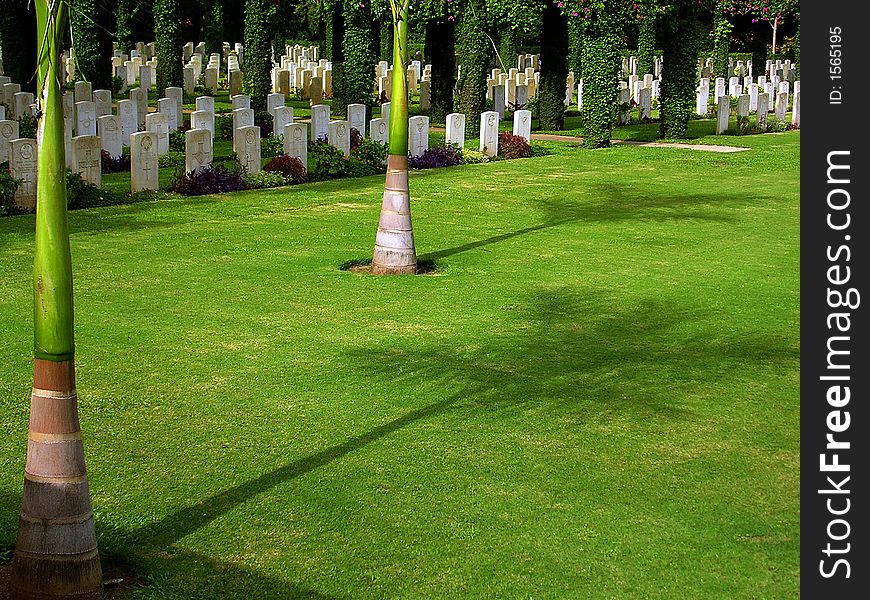 Shadow of Tree at the war cemetery
