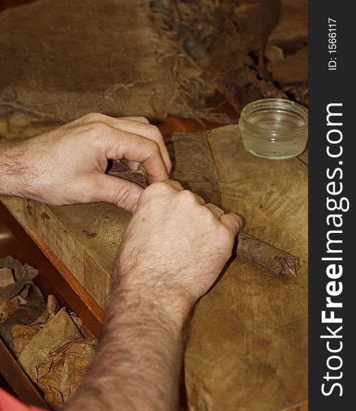 A cuban craftsman working the tobacco leaves