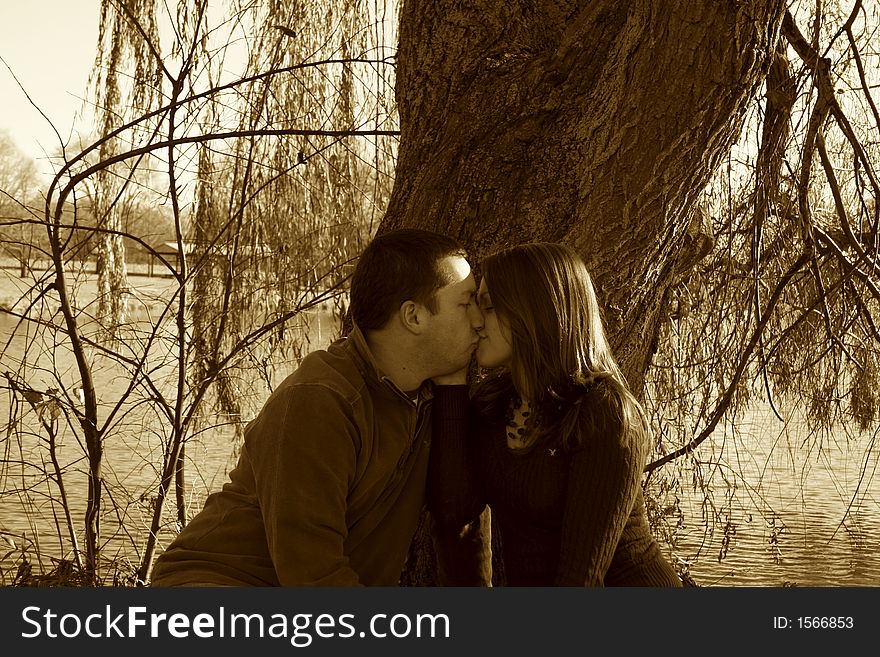 Young couple sitting under a tree. Young couple sitting under a tree