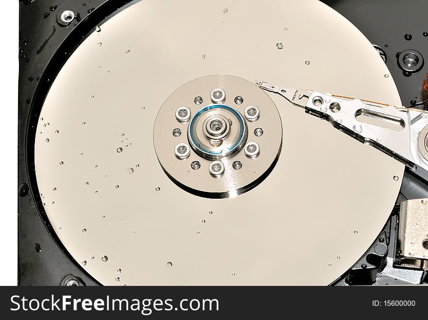 Hard disk on white