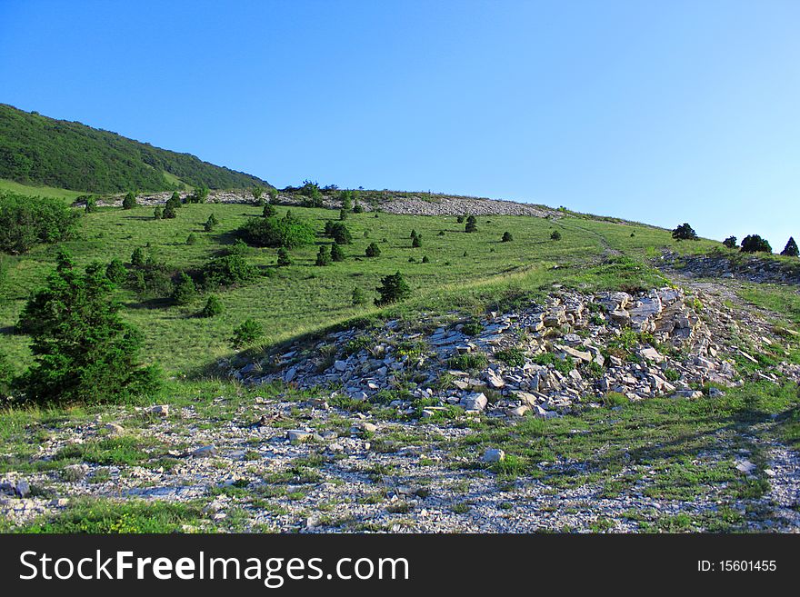 Slope of mountain with stones and trees