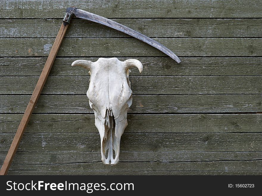 Scythe and skull hanging on the wooden wall