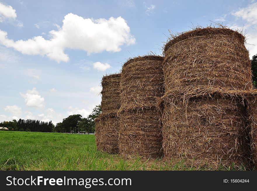 Big thatch roll in blue sky background