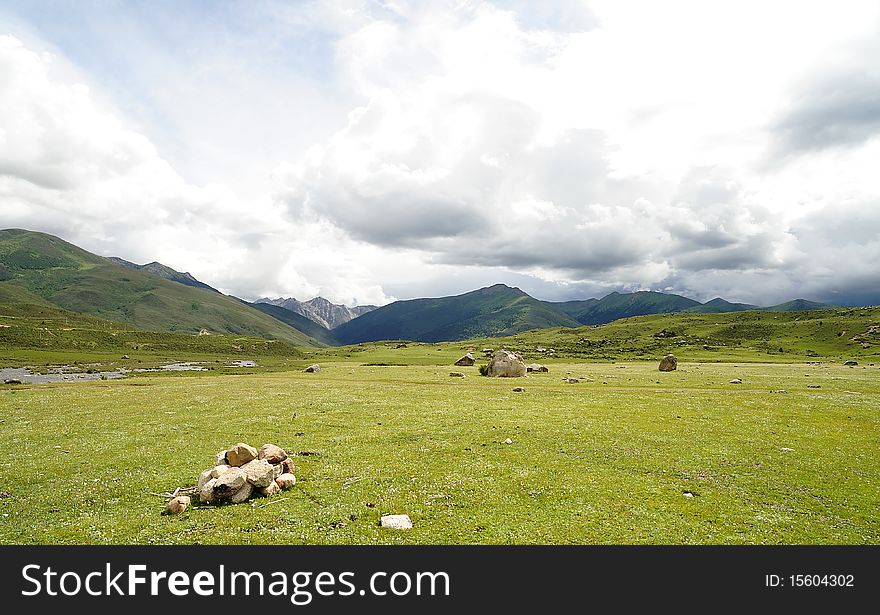 Highland Pasture