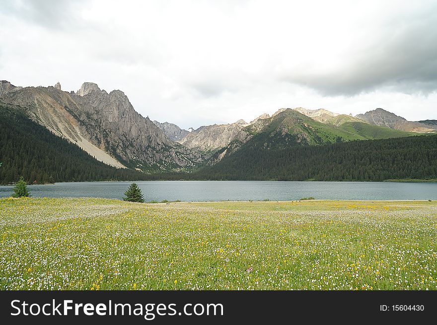 Flowerbed, highland, lake and mountain. Flowerbed, highland, lake and mountain