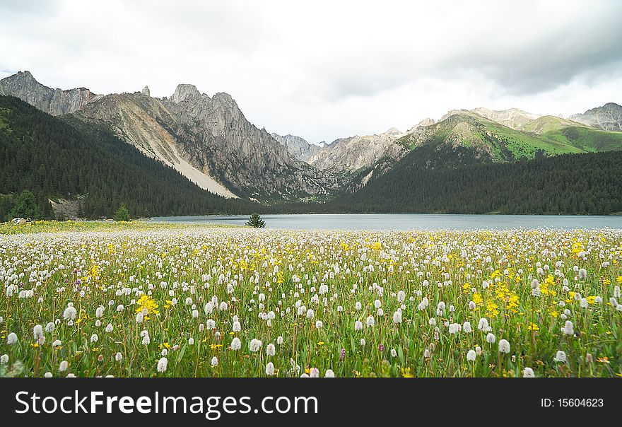 Flowerbed, highland, lake and mountain. Flowerbed, highland, lake and mountain