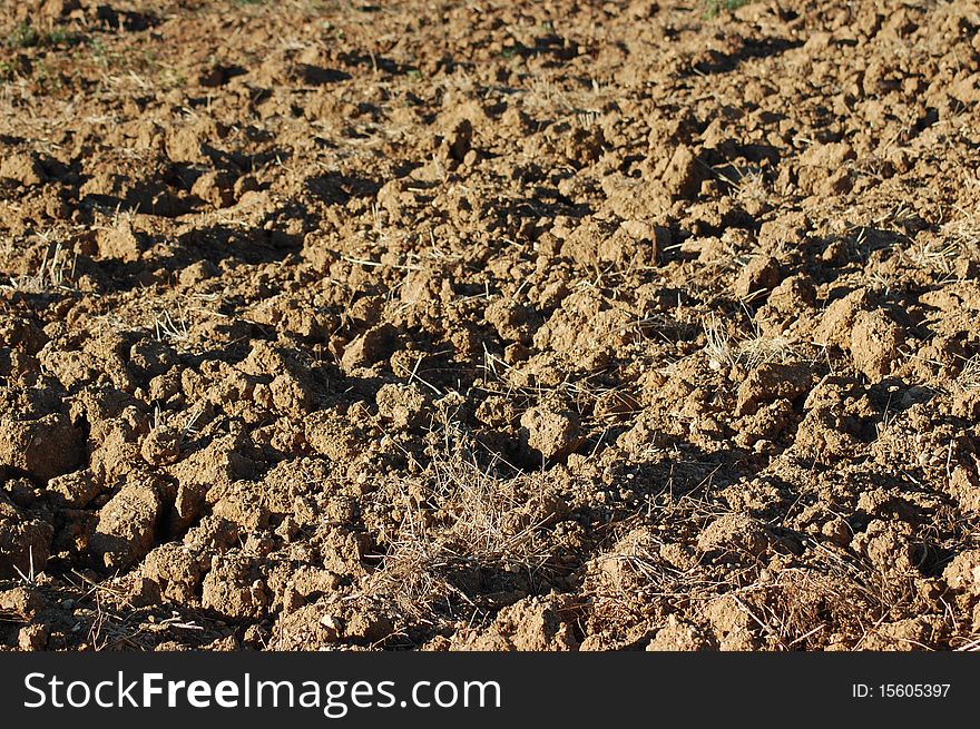 Texture Of The Agricultural Land