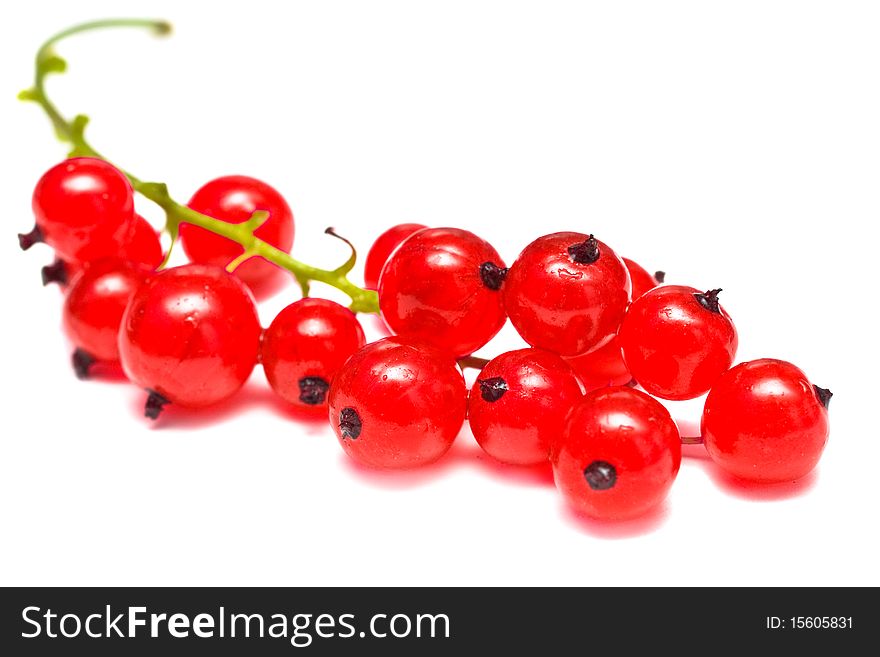 Ripe red currant isolated on white background