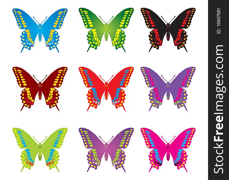 Beautiful butterflies in different colors. Beautiful butterflies in different colors