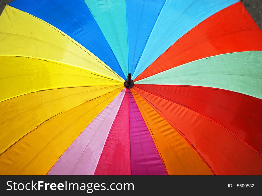 Colorful umbrella opened up in rain