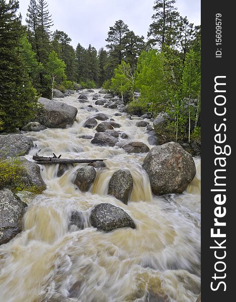 Big Thompson River, in Rocky Mountain National Park, nearly overruns its bank  during spring snowmelt in June.