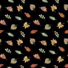 Pattern Of Watercolor Colorful Autumn Leaves - Red, Yellow, Green, Orange, Brown On Black Background. Stock Photo