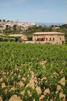 Vineyard In Provence With Village On Back Stock Images Vineyard In Provence With Village On Back Stock Images