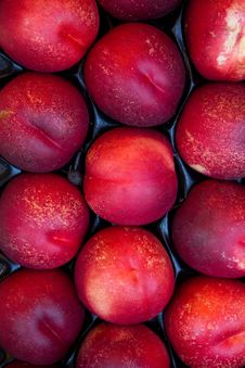 Fruit Hybrid Peach Apricot Royalty Free Stock Image Fruit Hybrid Peach Apricot Royalty Free Stock Image