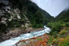 Lichen On The Banks Of Otira River Stock Photography Lichen On The Banks Of Otira River Stock Photography