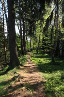 Footpath Royalty Free Stock Photography Footpath Royalty Free Stock Photography