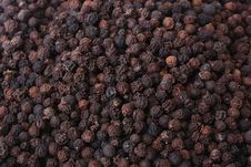 Spice - Black Pepper Stock Image Spice - Black Pepper Stock Image