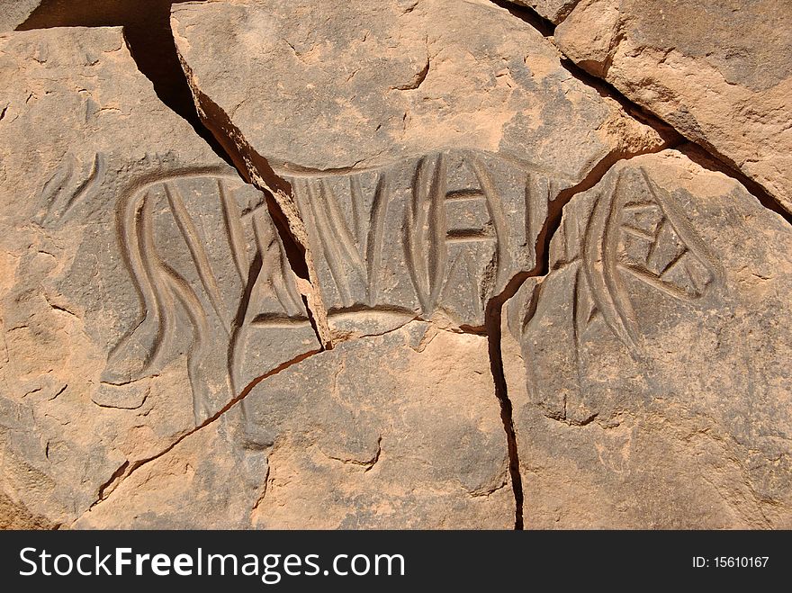 Rock engraving in the desert of Libya, in africa. Rock engraving in the desert of Libya, in africa