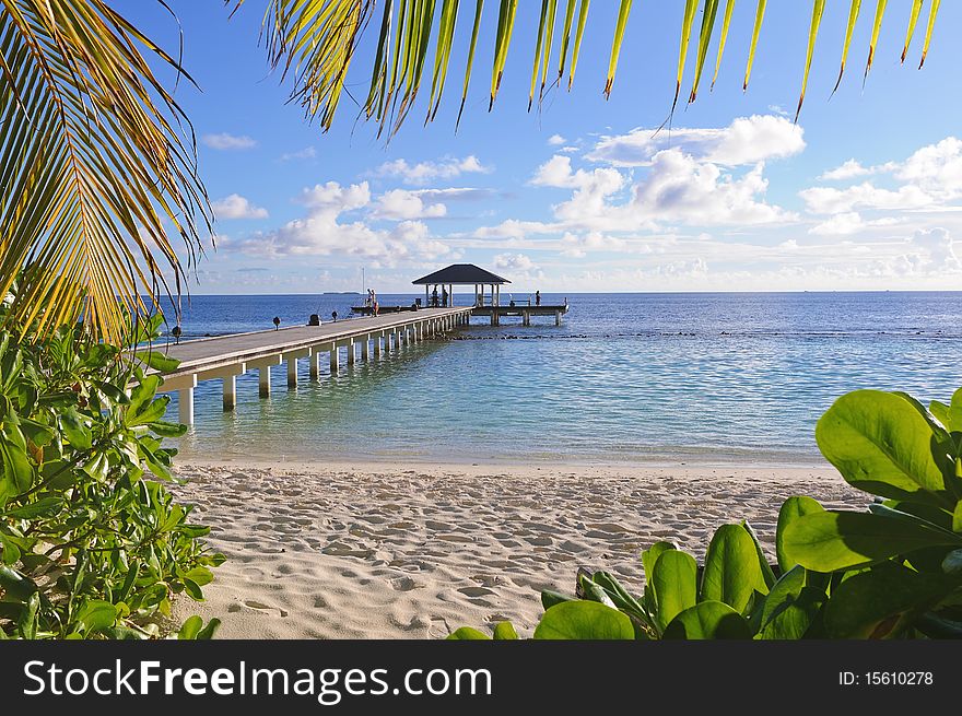 View through tropical plants on pier leading out into the water. Maldives.