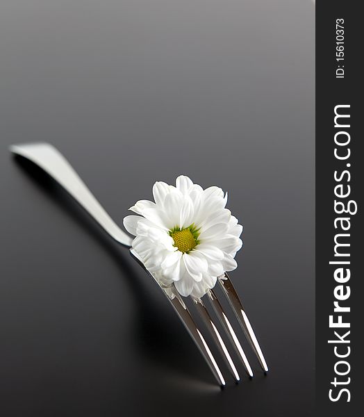 Fork decorated with daisy on gray background. Fork decorated with daisy on gray background