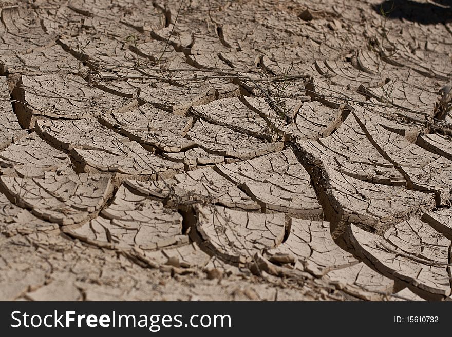 Cracked dirt, desert-like ground.  Old dried up stream.