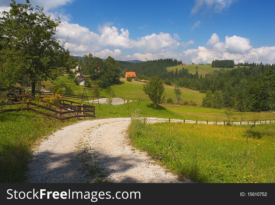 Beautiful country landscape on the sunny summer day on mountain Tara in Serbia.