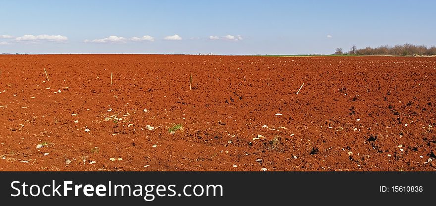 Red fields countryside panorama