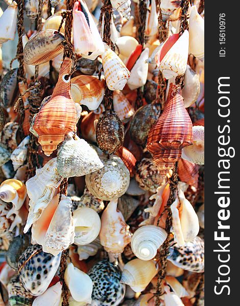 Seashells hung for sale at greek island