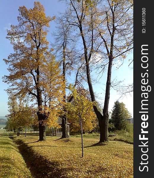 Image of a park landscape in london. Image of a park landscape in london