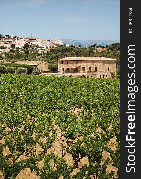 Vineyard in Provence, France with  village on back. Vineyard in Provence, France with  village on back