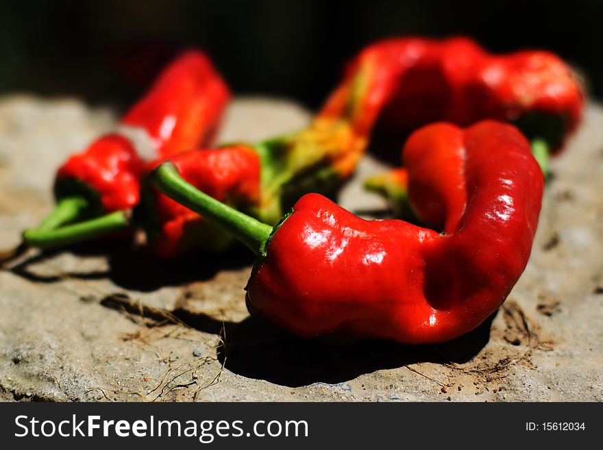 Fresh red chili pepper has been in human's diet for thousands of years