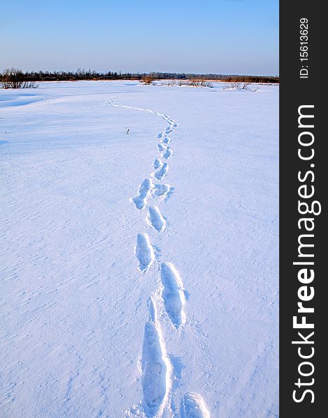 Human trace on winter snow