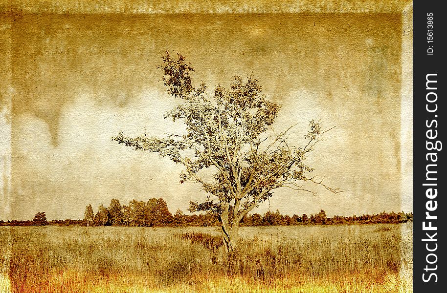 Tree oak on grunge background