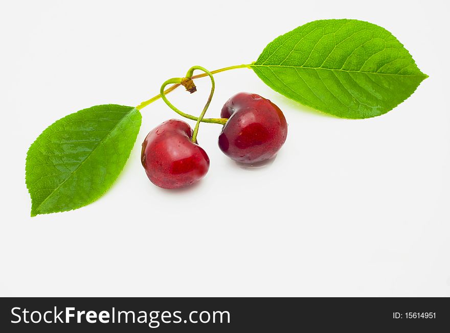 Pair of cherries were weaved by shanks in the form of heart isolated. Pair of cherries were weaved by shanks in the form of heart isolated