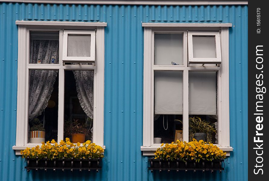 Blue wall and two windows in Reykjavik - Iceland