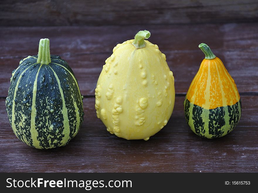 Decorative Pumpkin