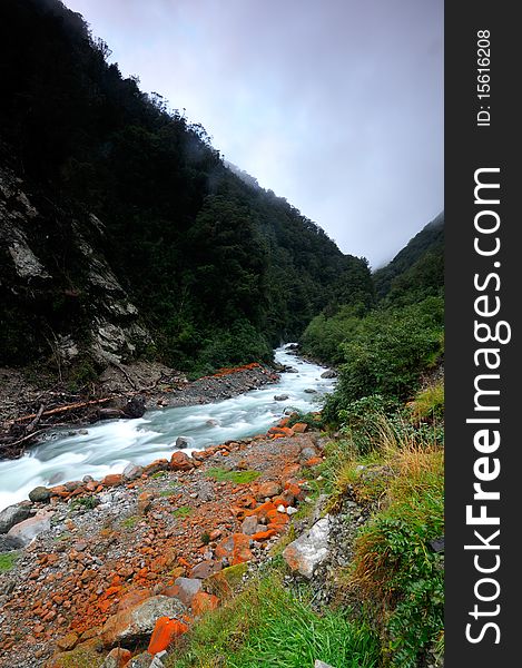 Lichen on the banks of Otira river, Arthur's Pass National Park, New Zealand