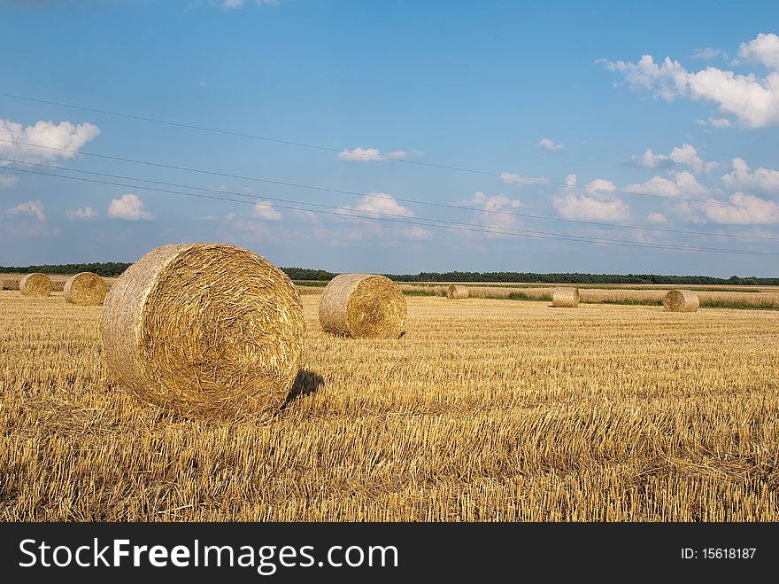 Golden Hay Bales