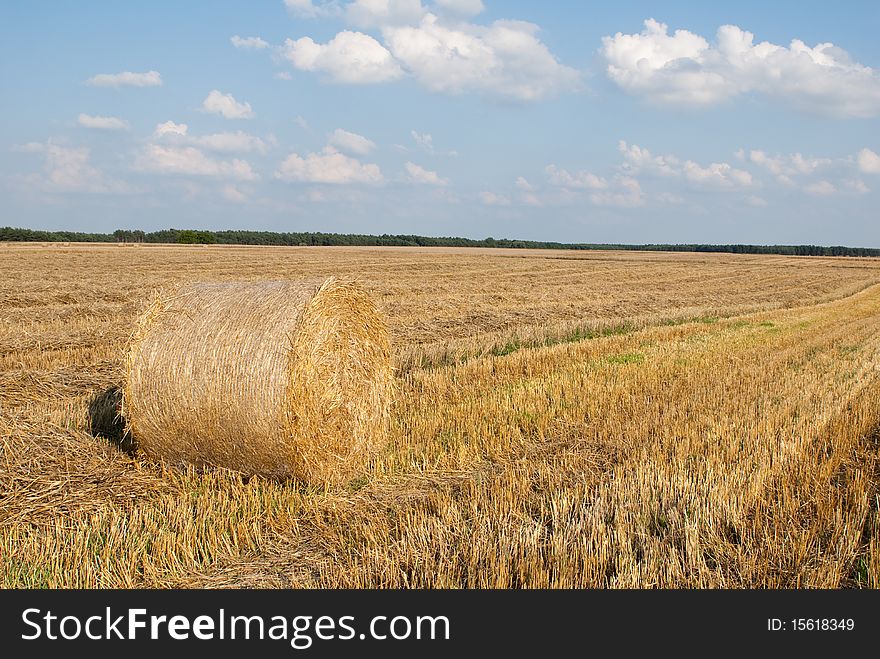 Amazing Golden Hay Bales on a perfect sunny day