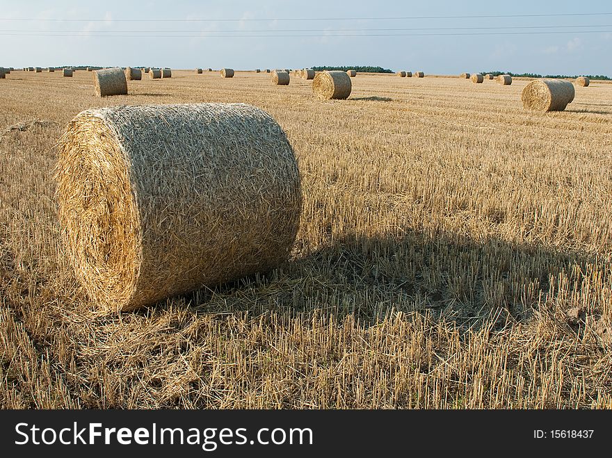 Straw On The Field