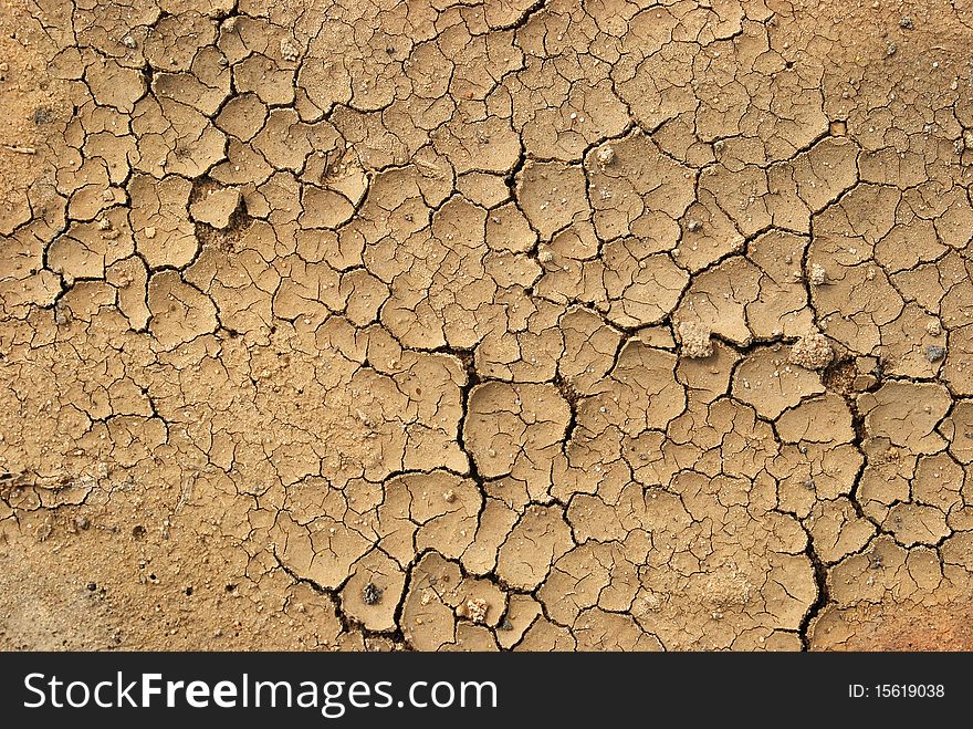 Drying ground texture for background. Drying ground texture for background