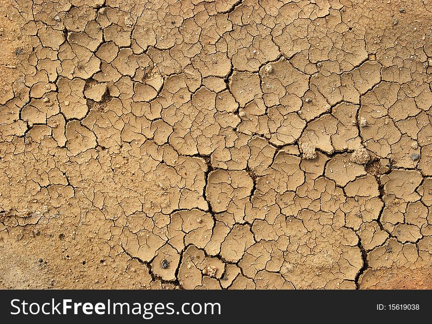 Dry Ground