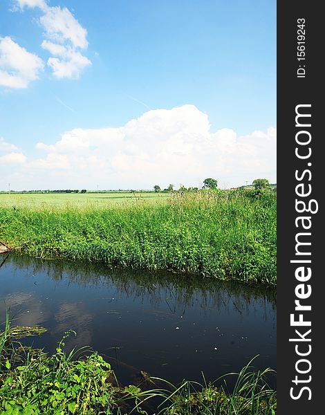 Tranquil grassy field with water and blue sky. Tranquil grassy field with water and blue sky