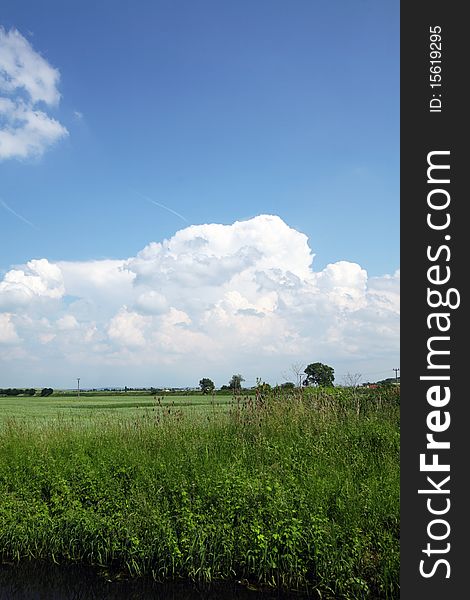 Green field with cloudy sky and trees during the summer day. Green field with cloudy sky and trees during the summer day