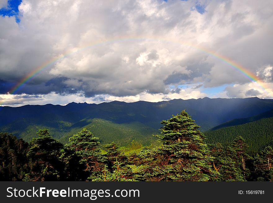 Pine Hill And Rainbow