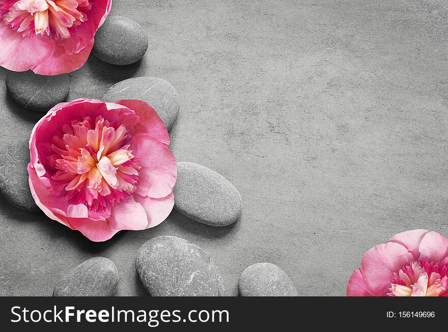 Flat lay composition with spa stones, pion pink flower on grey background