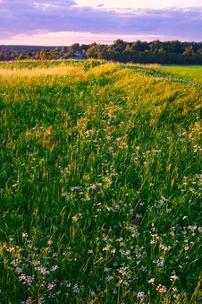 Sunset In Countryside Royalty Free Stock Photography Sunset In Countryside Royalty Free Stock Photography
