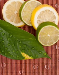 Limes And Lemon Slices Stock Photos