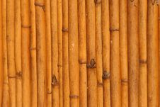 Reeds Detail Stock Photography Reeds Detail Stock Photography
